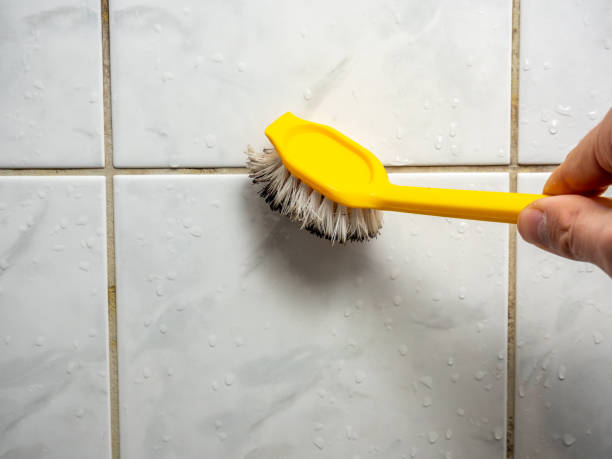 Best Residential Mold Removal  in Vincent, CA