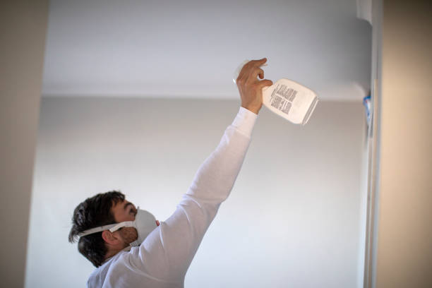 Best Attic Mold Removal  in Vincent, CA