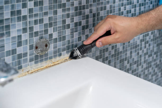 Best Mold Removal Near Me  in Vincent, CA
