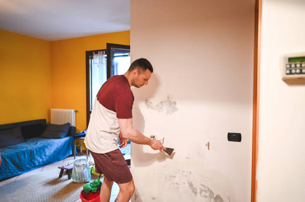Best Mold Remediation  in Vincent, CA